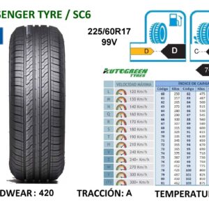 225/60R17 99V