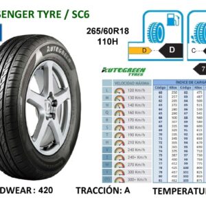 265/60R18 110H